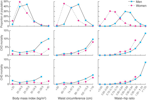 Waist Hip Ratio Is The Dominant Risk Factor Predicting