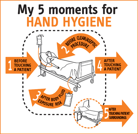 Statewide hand hygiene improvement: embarking on a crusade | The ...