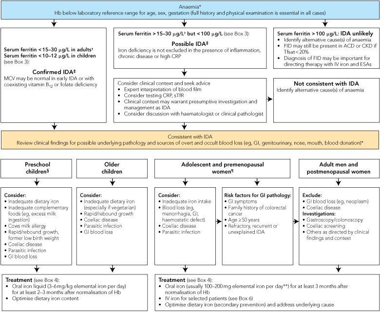 Iron Levels Chart Australia