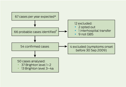 Pathophysiology Of Guillain Barre Syndrome In Flow Chart