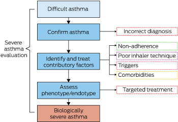 Treatment of Asthma in Saudi Arabia