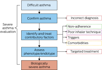 Treatment Of Asthma In Saudi Arabia