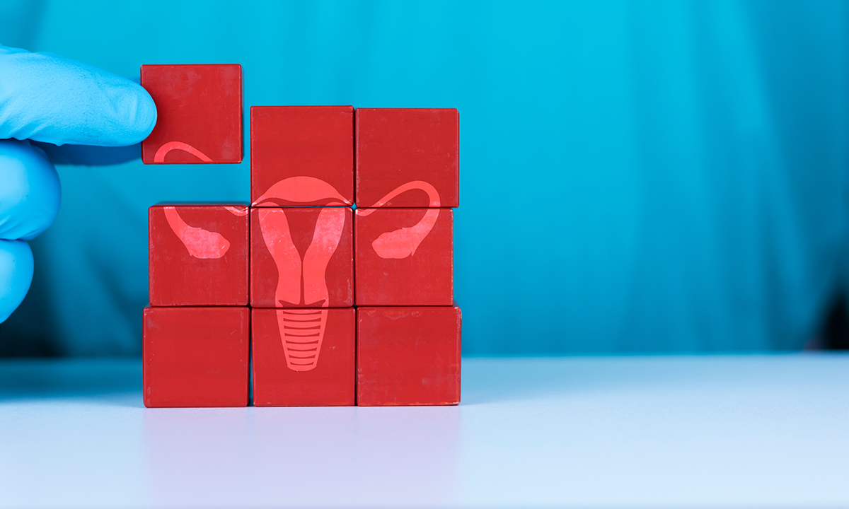 The first live term birth following uterus transplantation in Australia