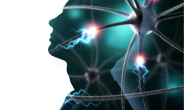 Motor Neuron Disease Mortality Trends in Australia From 1986 to 2023: A Population-Based Study