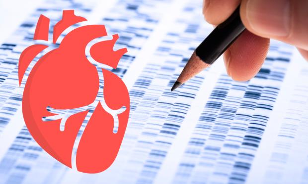 Genetic testing in cardiovascular disease