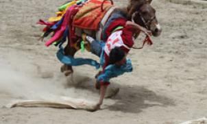 Tibetan horseman: scarf-snatching race